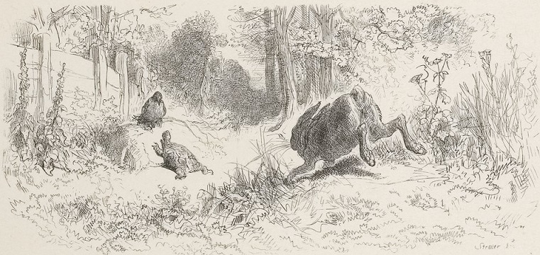 Le Lièvre et la Tortue - Jean de la Fontaine - Illustration de G. Doré / Streller